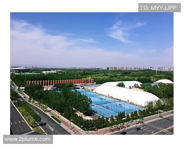 北京网球队整体压制现象分析及其对网球发展的影响探讨