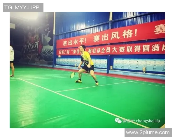 深圳羽毛球队杯赛战术解析与表现评估分析 深圳羽毛球队杯赛战术解析与表现评估分析